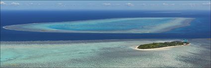 Heron Island - QLD (PBH4 00 18449)